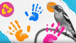 Colagem de fotos mostra marcas de mãos coloridas, junto a um passarinho.