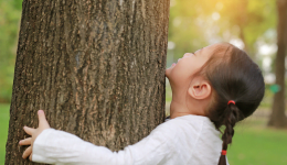 Foto de criança que abraça o tronco de uma grande árvore. Proteger nossas florestas.