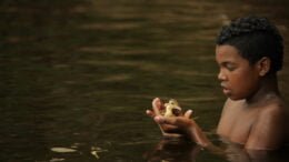 Pacote verde STF. menino negro segura um pato nas mãos. A criança está mergulhada até o peito em um lago.