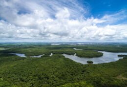Foto aérea da floresta amazônica, em referência à violação de direitos de crianças e adolescentes Yanomami