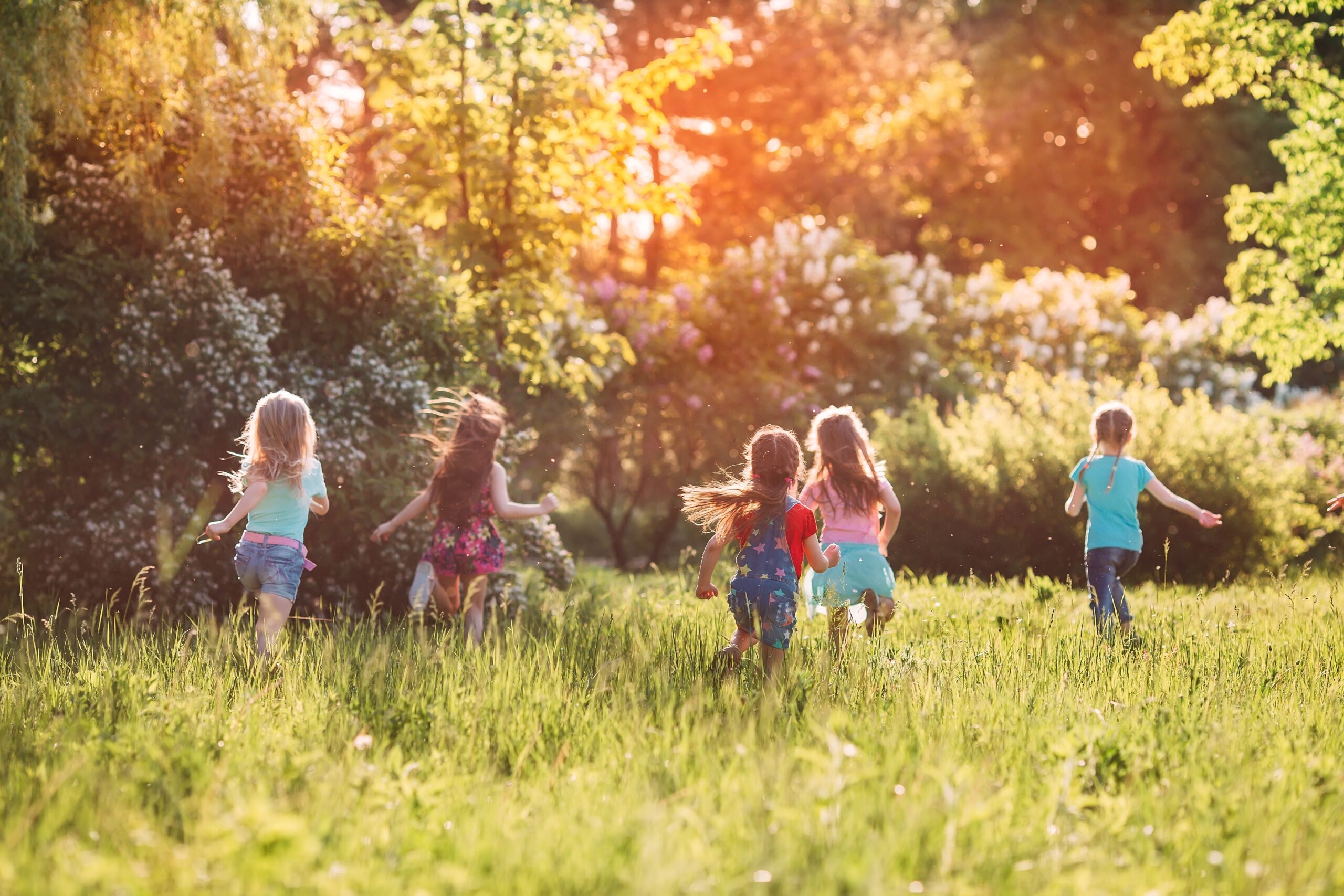 Foto de cinco crianças correndo ao ar livre em direção a uma floresta em um dia ensolarado.