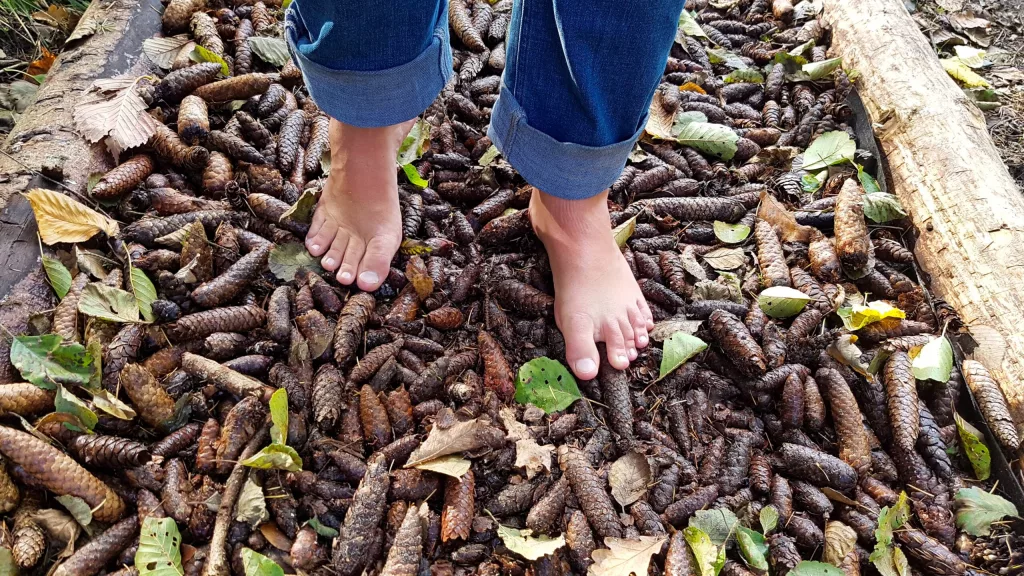 Mudanças climáticas: na foto, os pés descalços de uma criança que pisa em um chão de folhas secas, gravetos e pequenas pinhas