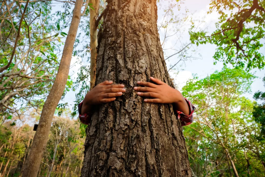 Racismo ambiental: foto mostra as mãos de uma criança negra abraçando uma árvore