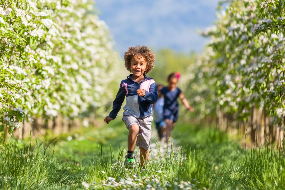 Comentário Geral 26: na foto, crianças correm em um gramado com árvores e flores