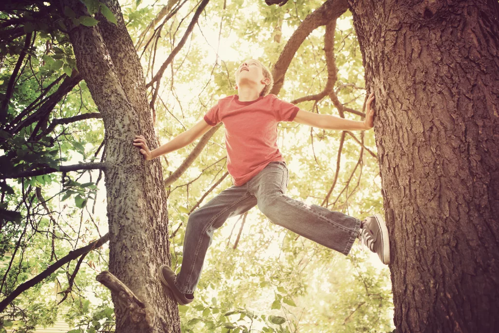 COP: um menino branco se equilibra entre os troncos de duas árvores.