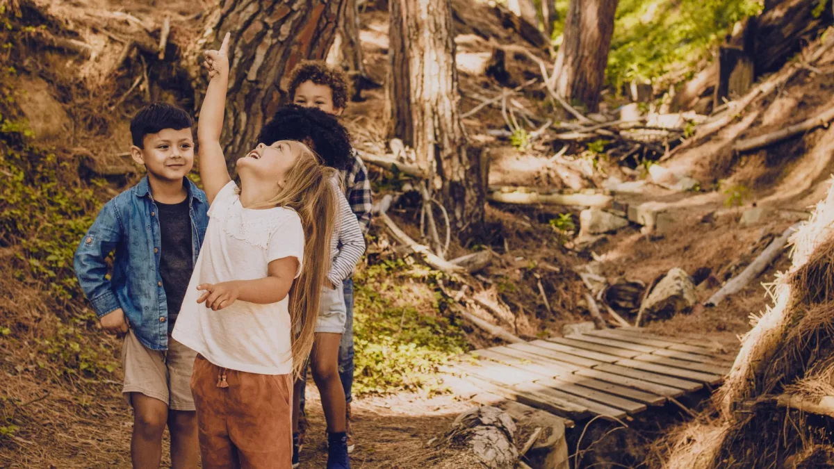 Crianças que integram um grupo multiétnico sorriem enquanto estão na floresta. A imagem ilustra matéria sobre as contribuições do Alana no eixo "natureza" no ano de 2023.